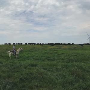 Meet your Posher, Jake